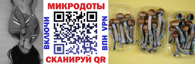 Галлюциногенные грибы ЛСД  Купить где  Джанкой 